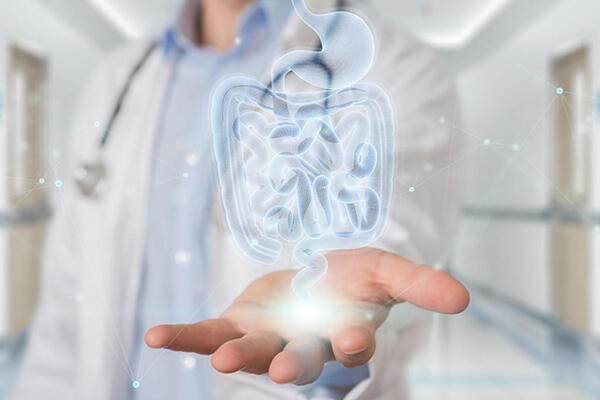 消化器内科はお腹の不調を専門に診る内科