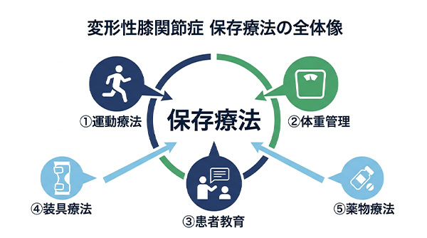 変形性膝関節症 保存両方の全体像
